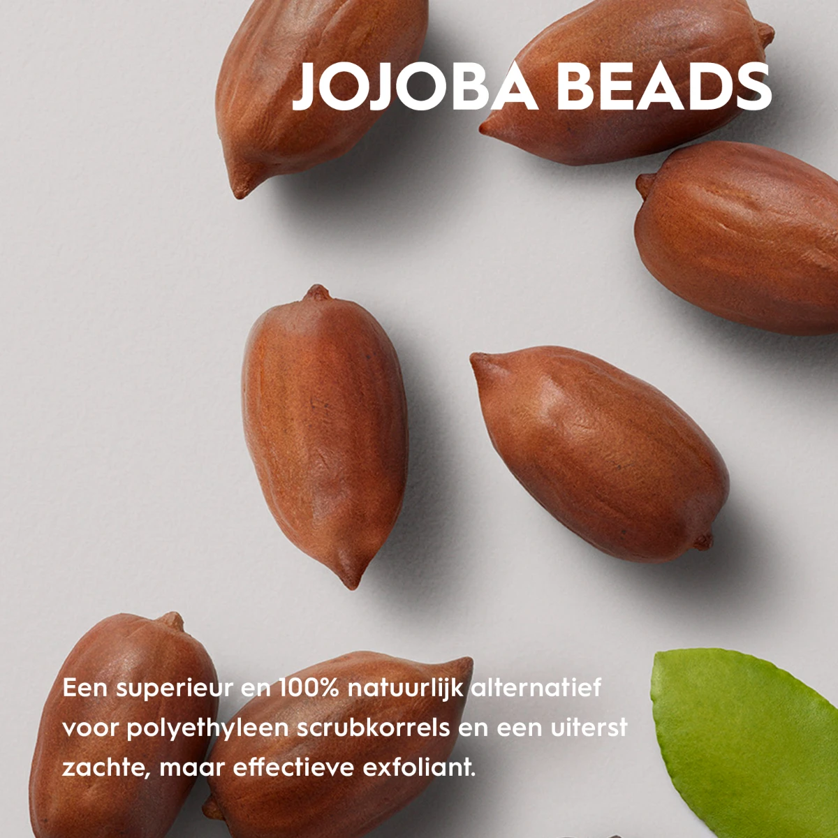 Kerasilk Exfoliating Scalp Pre-wash 250ml - Afbeelding 2