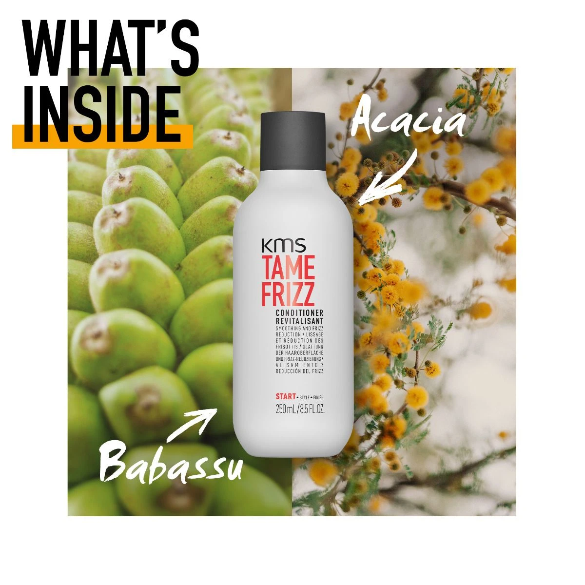 KMS Tame Frizz Conditioner 250ml - Afbeelding 3