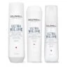 Futloos Haar Pakket Goldwell Dualsenses Ultra Volume
