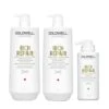 Droog Haar Pakket Goldwell Dualsenses Rich Repair XL