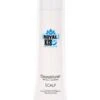 Royal KIS Scalp Cleanditioner 300ml